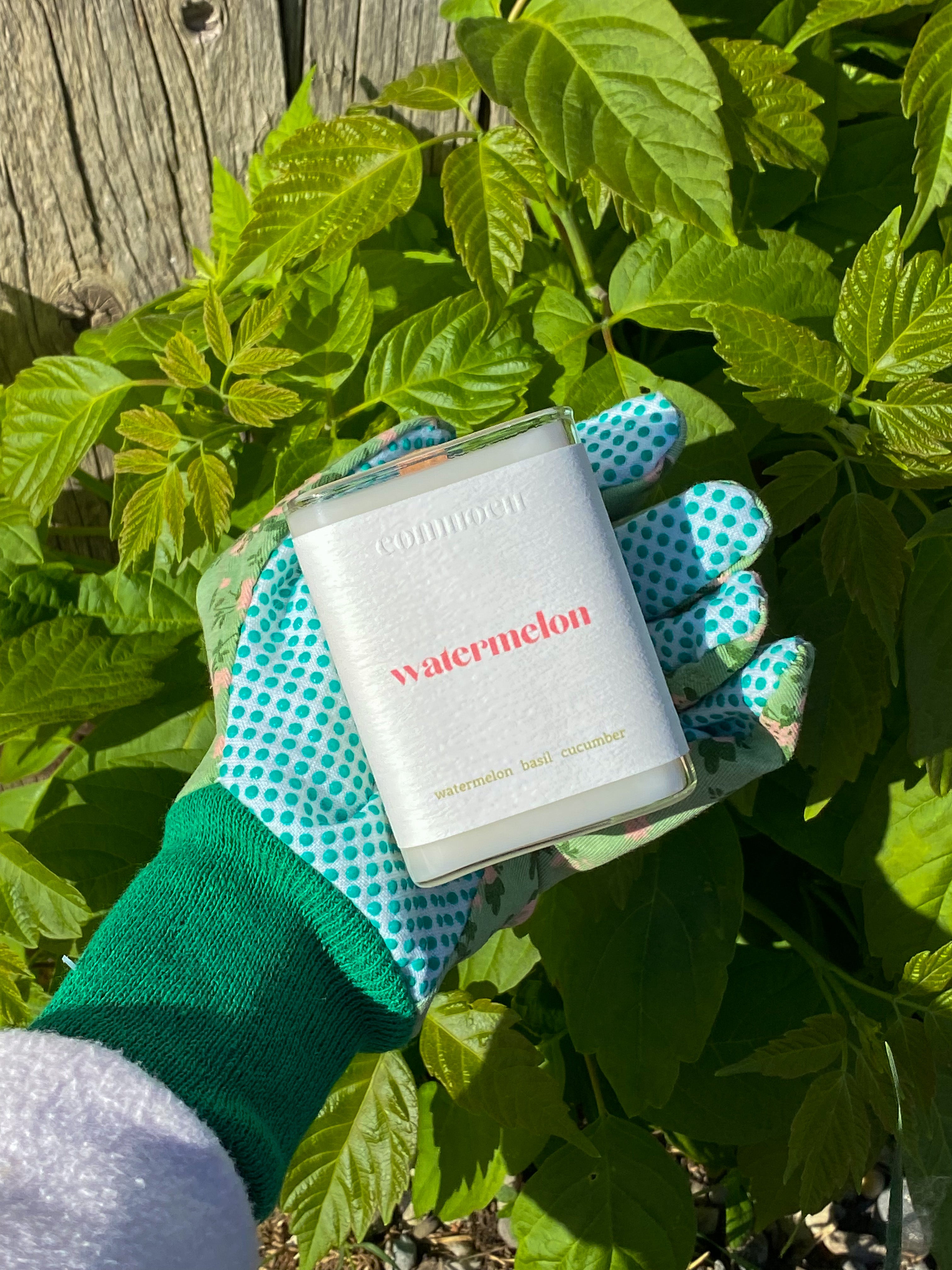 Watermelon ~ 7oz