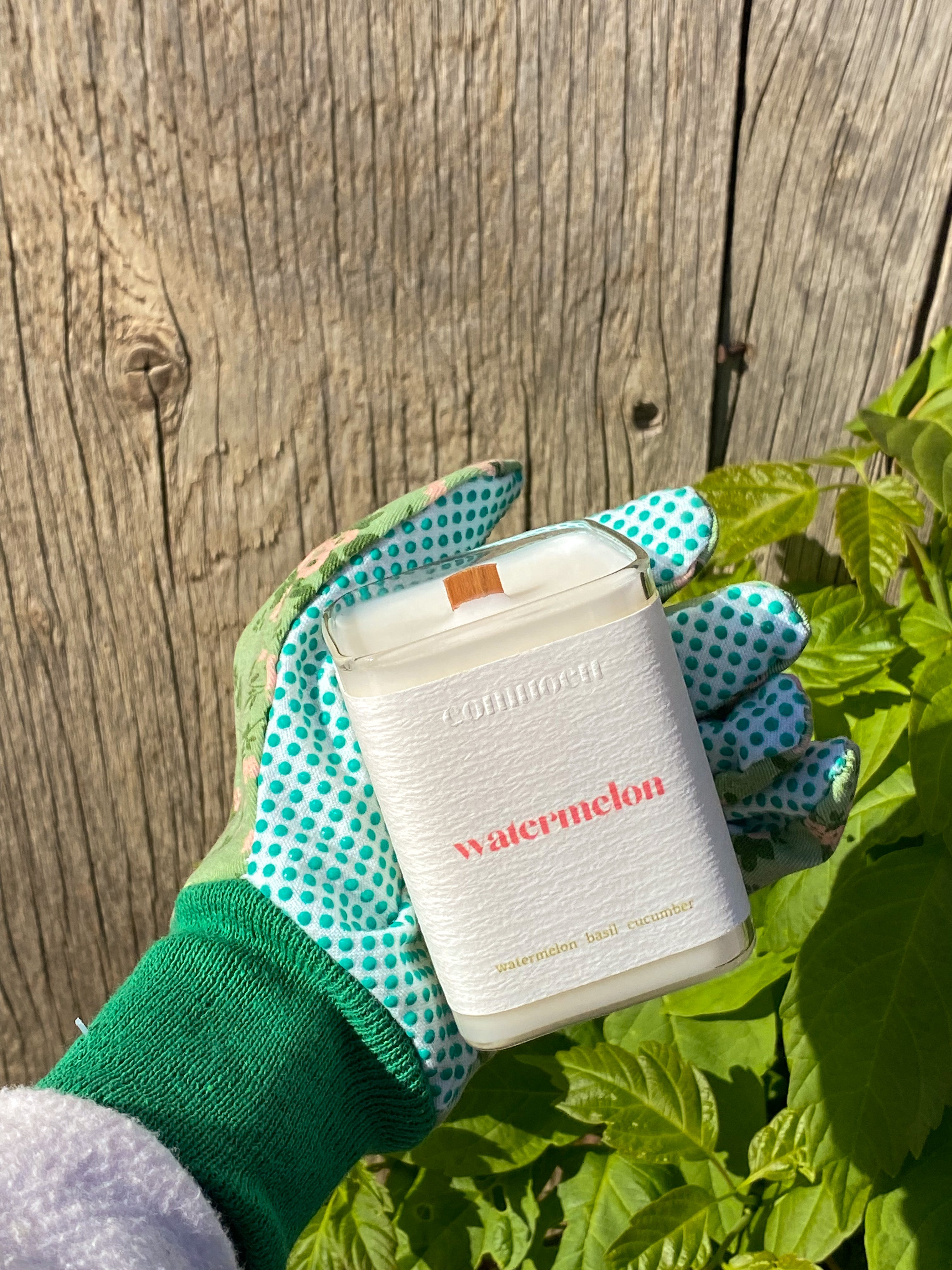 Watermelon ~ 7oz